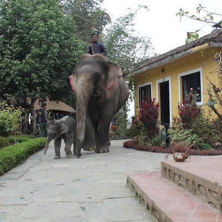 Hotel Sapana Village Lodge Chitwan Exteriér fotografie