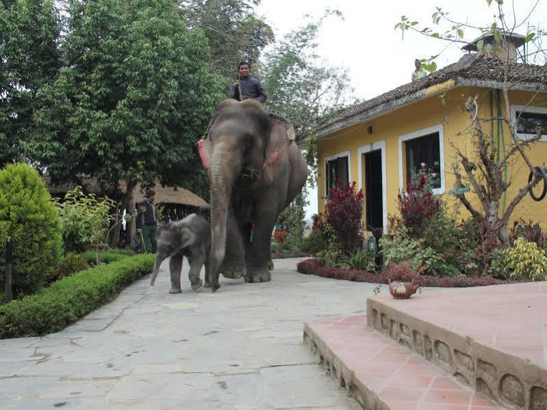 Hotel Sapana Village Lodge Chitwan Exteriér fotografie